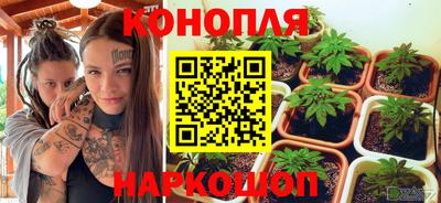 сатива Донской