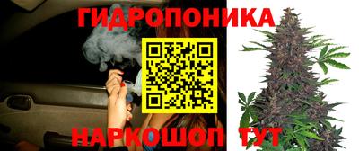 сатива Донской
