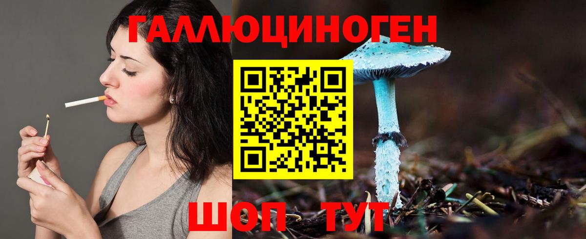 Малгобек  Псилоцибиновые грибы прущие грибы  Вход с VPN  Галлюциногенные грибы мицелий 