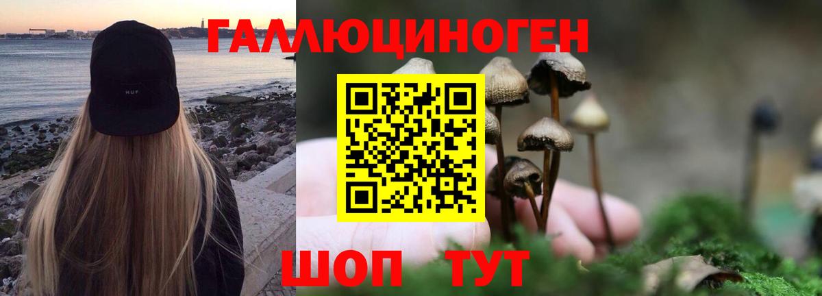 МЕФ кристаллы  LSD-25  НБОМе  Вход с VPN  Cocaine  Метадон  Малгобек  ГАШИШ  A-PVP СОЛЬ   ГАШИШ  МАРИХУАНА 